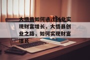 大悟县如何通过创业实现财富增长，大悟县创业之路，如何实现财富增长