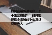 如何在县城里选择一个小生意赚钱?,如何选择适合县城的小生意以获得收入 如何在县城里选择一个小生意赚钱?,如何选择适合县城的小生意以获得收入