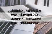 小酒创业，如何选择与经营，实现盈利之路，小酒创业，选择与经营策略，走向盈利之路