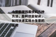 小生意赚钱最快的几种方法，盈利创业秘诀，如何快速实现小生意的成功
