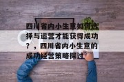 四川省内小生意如何选择与运营才能获得成功?,四川省内小生意的成功经营策略探讨 四川省内小生意如何选择与运营才能获得成功?,四川省内小生意的成功经营策略探讨