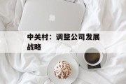 中关村:调整公司发展战略 中关村:调整公司发展战略