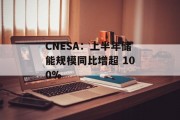 CNESA:上半年储能规模同比增超 100% CNESA:上半年储能规模同比增超 100%