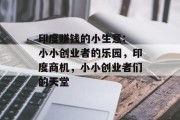 印度赚钱的小生意: 小小创业者的乐园,印度商机,小小创业者们的天堂 印度赚钱的小生意: 小小创业者的乐园,印度商机,小小创业者们的天堂