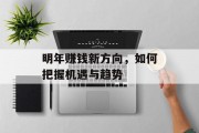 明年赚钱新方向,如何把握机遇与趋势
