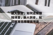 新人创业,如何选择赚钱项目,新人创业,如何精准选择赚钱项目