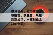 投资创业，做小生意赚取财富，创业者，从启动到成功，一窥创业之路的全貌
