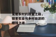 龙岩农村的致富之路，探索农业与乡村旅游的赚钱之道
