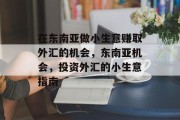 在东南亚做小生意赚取外汇的机会,东南亚机会,投资外汇的小生意指南