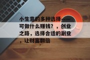 小生意的多种选择——可做什么赚钱?,创业之路,选择合适的副业,让财富翻倍 小生意的多种选择——可做什么赚钱?,创业之路,选择合适的副业,让财富翻倍