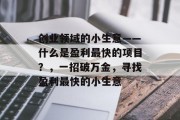 创业领域的小生意——什么是盈利最快的项目？，一招破万金，寻找盈利最快的小生意