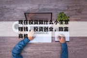 现在投资做什么小生意赚钱,投资创业,致富商机 现在投资做什么小生意赚钱,投资创业,致富商机