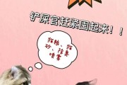 2021双十一养猫活动 2021双十一养猫活动