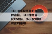 318日赚取财富的多种途径，318种财富获取途径，多元化赚取财富的策略