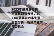 2023年最具潜力的小生意趋势分析,2023年最具潜力小生意趋势分析,新兴产业与投资机会 2023年最具潜力的小生意趋势分析,2023年最具潜力小生意趋势分析,新兴产业与投资机会