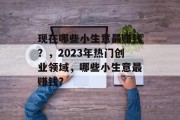 现在哪些小生意最赚钱?,2023年热门创业领域,哪些小生意最赚钱? 现在哪些小生意最赚钱?,2023年热门创业领域,哪些小生意最赚钱?