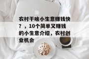 农村干啥小生意赚钱快?,10个简单又赚钱的小生意介绍,农村创业机会 农村干啥小生意赚钱快?,10个简单又赚钱的小生意介绍,农村创业机会