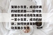 复制小生意,成功逆袭的秘密武器——如何快速复制并成功地发展出一家小生意,成功的秘诀,如何快速复制并成功发展小生意