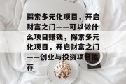 探索多元化项目，开启财富之门——可以做什么项目赚钱，探索多元化项目，开启财富之门——创业与投资项目推荐