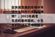 在快速发展的市场中寻找什么样的小生意最赚钱?,2023年最受欢迎的暴利商机,小生意的利润与市场趋势分析 在快速发展的市场中寻找什么样的小生意最赚钱?,2023年最受欢迎的暴利商机,小生意的利润与市场趋势分析