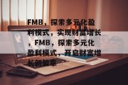 FMB，探索多元化盈利模式，实现财富增长，FMB，探索多元化盈利模式，开启财富增长新篇章