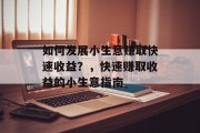 如何发展小生意赚取快速收益?,快速赚取收益的小生意指南 如何发展小生意赚取快速收益?,快速赚取收益的小生意指南
