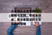 小本投入小生意赚钱的策略与实践,零成本创业,用小本投资的小生意盈利策略 小本投入小生意赚钱的策略与实践,零成本创业,用小本投资的小生意盈利策略