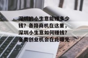 深圳的小生意能赚多少钱？各路商机在这里，深圳小生意如何赚钱？各类创业机会在此曝光
