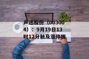 声迅股份(003004):9月19日13时12分触及涨停板 声迅股份(003004):9月19日13时12分触及涨停板