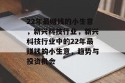 22年最赚钱的小生意，新兴科技行业，新兴科技行业中的22年最赚钱的小生意，趋势与投资机会