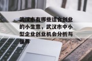 武汉市有哪些适合创业的小生意，武汉市中小型企业创业机会分析与推荐
