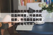 叶县商机探索，寻找最佳盈利项目，叶县商机探索，寻找最佳盈利项目的策略与方向