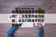 如何从小生意中获得成功?,小生意的成功秘籍,从入门到高手的全套指南