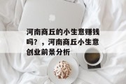 河南商丘的小生意赚钱吗?,河南商丘小生意创业前景分析 河南商丘的小生意赚钱吗?,河南商丘小生意创业前景分析