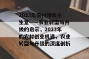 2023年农村赚钱小生意——农业转型与升级的启示,2023年的农村创业机遇,农业转型与升级的深度剖析 2023年农村赚钱小生意——农业转型与升级的启示,2023年的农村创业机遇,农业转型与升级的深度剖析