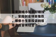 家里做啥小生意好赚钱?,家庭创业项目推荐,哪些小生意投资回报率高且容易经营 家里做啥小生意好赚钱?,家庭创业项目推荐,哪些小生意投资回报率高且容易经营