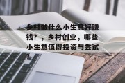 乡村做什么小生意好赚钱?,乡村创业,哪些小生意值得投资与尝试? 乡村做什么小生意好赚钱?,乡村创业,哪些小生意值得投资与尝试?