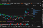 智云股份2022年定期报告虚假被行政监管!