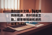 农村创业之路，探索赚钱新机遇，农村创业之路，探索赚钱新机遇的探索与实践