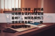 当前热门项目，如何通过选择合适的项目实现盈利？，如何选择热门项目实现盈利？——策略与技巧解析