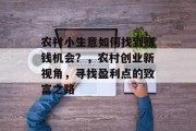 农村小生意如何找到赚钱机会？，农村创业新视角，寻找盈利点的致富之路