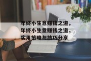 年终小生意赚钱之道,年终小生意赚钱之道,实用策略与技巧分享 年终小生意赚钱之道,年终小生意赚钱之道,实用策略与技巧分享