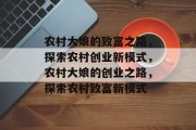 农村大娘的致富之路,探索农村创业新模式,农村大娘的创业之路,探索农村致富新模式 农村大娘的致富之路,探索农村创业新模式,农村大娘的创业之路,探索农村致富新模式