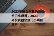 2023年适合创业的热门小项目,2023年投资创业热门小项目分析 2023年适合创业的热门小项目,2023年投资创业热门小项目分析