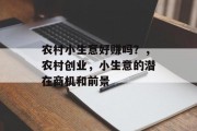 农村小生意好赚吗?,农村创业,小生意的潜在商机和前景 农村小生意好赚吗?,农村创业,小生意的潜在商机和前景