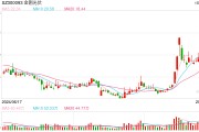 金刚光伏Q3负债率112%毛利率-201% 两次定增流产后接盘大股东问题资产
