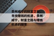 贵州威宁的财富之路,寻找赚钱的机遇,贵州威宁,财富之路与赚钱机遇的探索