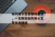 如何用小生意赚钱最快,一文教你如何用小生意快速赚钱 如何用小生意赚钱最快,一文教你如何用小生意快速赚钱
