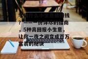 学做什么小生意最赚钱?——一份详尽的指南,5种高回报小生意,让你一夜之间变成百万富翁的秘诀