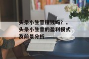 头条小生意赚钱吗？，头条小生意的盈利模式及前景分析